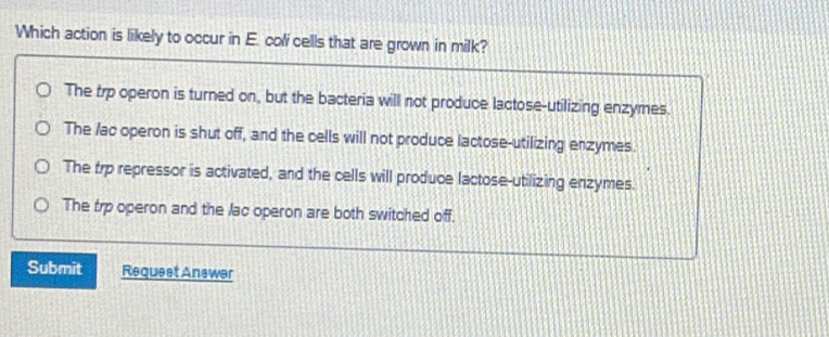 Which action is likely to occur in E. coli cells that are grown in milk?
The trp operon is turned on, but the bacteria will not produce lactose-utilizing enzymes.
The /ac operon is shut off, and the cells will not produce lactose-utilizing enzymes.
The trp repressor is activated, and the cells will produce lactose-utilizing enzymes.
The trp operon and the lac operon are both switched off.
Submit Requeet Anewer