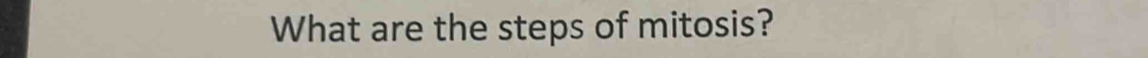 What are the steps of mitosis?