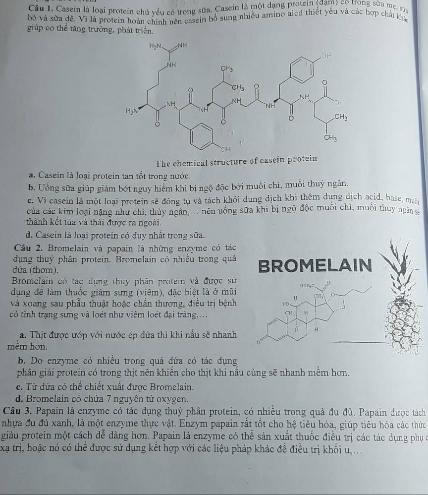 Casein là loại protein chủ yếu có trong sữa. Casein là một dạng protein (đạm) co trong sữa mẹ, sửa
bỏ và sữa dê. Vì là protein hoàn chính nên casein bồ sung nhiều amino aied thiết yếu và các hợp chất khác
giúp cơ thể tăng trưởng, phát triển.
The chemical structure of casein protein
a. Casein là loại protein tan tốt trong nước.
b. Uống sữa giúp giảm bớt nguy hiểm khi bị ngộ độc bởi muối chì, muối thuỷ ngân.
c. Vì casein là một loại protein sẽ đông tụ và tách khỏi dung dịch khi thêm dung dịch acid, base, muội
của các kim loại nặng như chì, thủy ngân,... nên uống sữa khi bị ngộ độc muối chì, muối thủy ngân sẽ
thành kết tủa và thải được ra ngoài.
d. Casein là loại protein có duy nhất trong sữa.
Câu 2. Bromelain và papain là những enzyme có tác
dụng thuỳ phân protein. Bromelain có nhiều trong quả
dứa (thơm). 
Bromelain có tác dụng thuỷ phân protein và được sử
dụng để làm thuốc giảm sưng (viêm), đặc biệt là ở mũi 
và xoang sau phẫu thuật hoặc chấn thương, điều trị bệnh 
có tình trạng sưng và loét như viêm loét đại tràng,...
a. Thịt được ướp với nước ép dứa thỉ khi nấu sẽ nhanh
mềm hơn.
b. Do enzyme có nhiều trong quả dứa có tác dụng
phân giải protein có trong thịt nên khiến cho thịt khi nấu cùng sẽ nhanh mềm hơn.
c. Từ dứa có thể chiết xuất được Bromelain.
d. Bromelain có chứa 7 nguyên tử oxygen.
Câu 3. Papain là enzyme có tác dụng thuỷ phân protein, có nhiều trong quả đu đủ. Papain được tách
nhựa đu đủ xanh, là một enzyme thực vật. Enzym papain rất tốt cho hệ tiêu hóa, giúp tiêu hóa các thức
giàu protein một cách dễ dàng hơn. Papain là enzyme có thể sản xuất thuốc điều trị các tác dụng phụ c
xạ trị, hoặc nó có thể được sử dụng kết hợp với các liệu pháp khác đề điều trị khối u,.