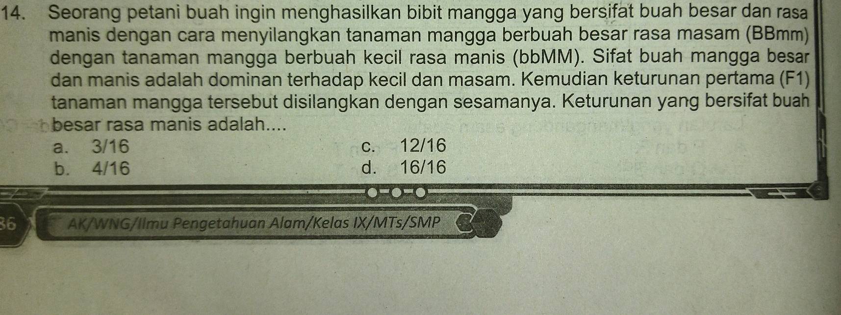 Seorang petani buah ingin menghasilkan bibit mangga yang bersifat buah besar dan rasa
manis dengan cara menyilangkan tanaman mangga berbuah besar rasa masam (BBmm)
dengan tanaman mangga berbuah kecil rasa manis (bbMM). Sifat buah mangga besar
dan manis adalah dominan terhadap kecil dan masam. Kemudian keturunan pertama (F1)
tanaman mangga tersebut disilangkan dengan sesamanya. Keturunan yang bersifat buah
besar rasa manis adalah....
a. 3/16 c. 12/16
b. 4/16 d. 16/16.-.-.
36 AK/WNG/Ilmu Pengetahuan Alam/Kelas IX/MTs/SMP