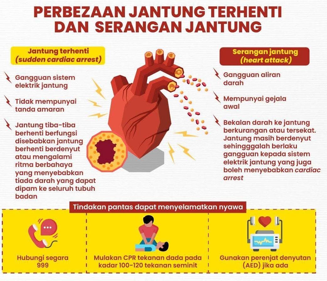 PERBEZAAN JANTUNG TERHENTI 
DAN SERANGAN JANTUNG 
Jantung terhenti Serangan jantung 
(sudden cardiac arrest) (heart attack) 
Gangguan sistem Gangguan aliran 
elektrik jantung darah 
Tidak mempunyai Mempunyai gejala 
tanda amaran awal 
Jantung tiba-tiba 
Bekalan darah ke jantung 
berhenti berfungsi berkurangan atau tersekat. 
disebabkan jantung Jantung masih berdenyut 
berhenti berdenyut sehingggalah berlaku 
atau mengalami gangguan kepada sistem 
ritma berbahaya elektrik jantung yang juga 
yang menyebabkan boleh menyebabkan cardiac 
tiada darah yang dapat arrest 
dipam ke seluruh tubuh 
badan