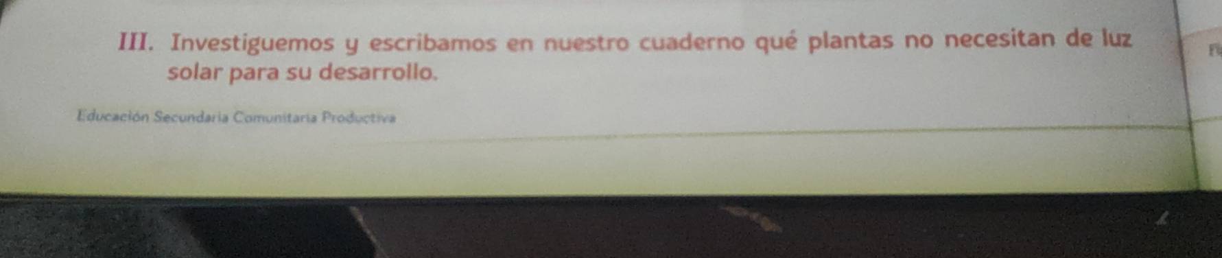 Investiguemos y escribamos en nuestro cuaderno qué plantas no necesitan de luz 
F 
solar para su desarrollo. 
Educación Secundaria Comunitaria Productiva