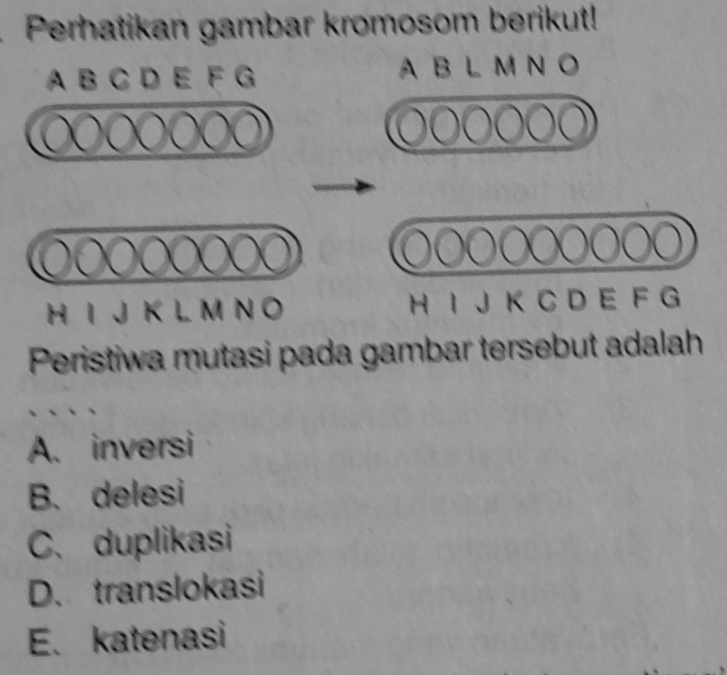 Perhatikan gambar kromosom berikut!
A B C D E F G
A B L M N O
H I J K L M N O H I J K C D E F G
Peristiwa mutasi pada gambar tersebut adalah
A. inversi
B. delesi
C. duplikasi
D. translokasi
E. katenasi