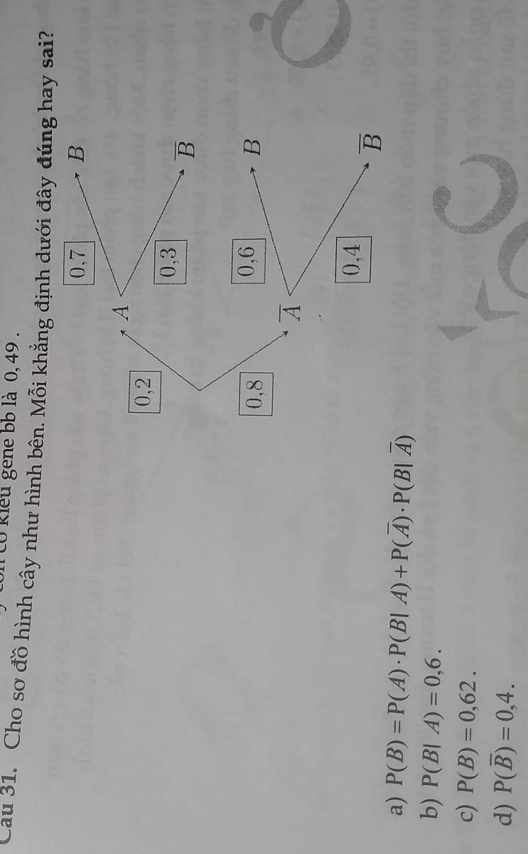 co kliểu gene bb là 0, 49 .
Cau 31. Cho sơ đồ hình cây như hình bên. Mỗi khẳng định dưới đây đúng hay sai?
a) P(B)=P(A)· P(B|A)+P(overline A)· P(B|overline A)
b) P(B|A)=0,6.
c) P(B)=0,62.
d) P(overline B)=0,4.