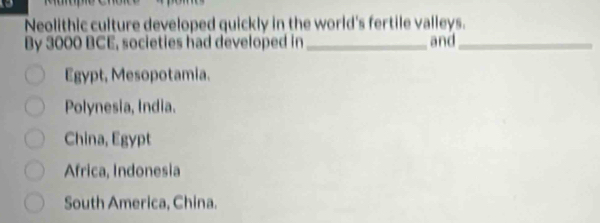 Neolithic culture developed quickly in the world's fertile valleys.
By 3000 BCE, societies had developed in_ and_
Egypt, Mesopotamia.
Polynesia, India.
China, Egypt
Africa, Indonesia
South America, China.