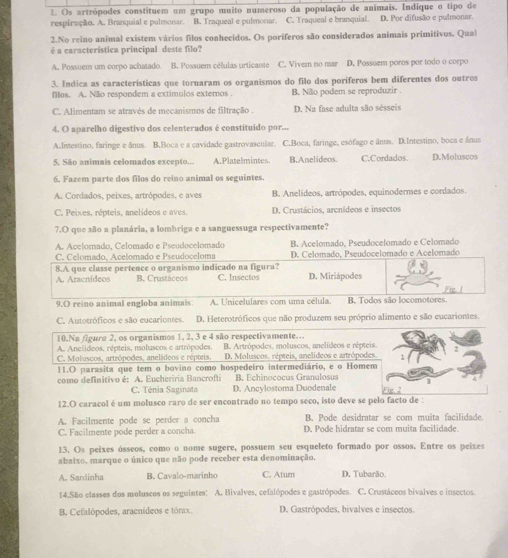 Os artrópodes constituem um grupo muito numeroso da população de animais. Indique o tipo de
respiração. A. Branquial e pulmonar. B. Traqueal e pulmonar. C. Traqueal e branquial. D. Por difusão e pulmonar.
2.No reino animal existem vários filos conhecidos. Os poríferos são considerados animais primitivos. Qual
é a característica principal deste filo?
A. Possuem um corpo achatado. B. Possuem células urticante C. Vivem no mar D. Possuem poros por todo o corpo
3. Indica as características que tornaram os organismos do filo dos poríferos bem diferentes dos outros
filos. A. Não respondem a extímulos externos . B. Não podem se reproduzir .
C. Alimentam se através de mecanismos de filtração . D. Na fase adulta são sésseis
4. O aparelho digestivo dos celenterados é constituído por...
A.Intestino, faringe e ânus. B.Boca e a cavidade gastrovascular. C.Boca, faringe, esófago e ânus. D.Intestino, boca e ânus
5. São animais celomados excepto... A.Platelmintes. B.Anelideos. C.Cordados. D.Moluscos
6. Fazem parte dos filos do reino animal os seguintes.
A. Cordados, peixes, artrópodes, e aves B. Anelídeos, artrópodes, equinodermes e cordados.
C. Peixes, répteis, anelídeos e aves. D. Crustácios, arcnídeos e insectos
7.O que são a planária, a lombriga e a sanguessuga respectivamente?
A. Acelomado, Celomado e Pseudocelomado B. Acelomado, Pseudocelomado e Celomado
C. Celomado, Acelomado e Pseudoceloma D. Celomado, Pseudocelomado e Acelomado
8.A que classe pertence o organismo indicado na figura?
A. Aracnideos B. Crustáceos C. Insectos D. Miriápodes
Fig.l
9.O reino animal engloba animais: A. Unicelulares com uma célula. B. Todos são locomotores.
C. Autotróficos e são eucariontes. D. Heterotróficos que não produzem seu próprio alimento e são eucariontes.
10.Na figura 2, os organismos 1, 2, 3 e 4 são respectivamente…
A. Anclídeos, répteis, moluscos e artrópodes, B. Artrópodes, moluscos, anelídeos e répteis
C. Moluscos, artrópodes, anelídeos e répteis.  D. Moluscos, répteis, anelídeos e artrópodes
11.O parasita que tem o bovino como hospedeiro intermediário, e o Home
como definitivo é: A. Eucheriria Bancrofti B. Echinococus Granulosus
C. Ténia Saginata D. Ancylostoma Duodenale 
12.O caracol é um molusco raro de ser encontrado no tempo seco, isto deve se pelo facto de :
A. Facilmente pode se perder a concha B. Pode desidratar se com muita facilidade.
C. Facilmente pode perder a concha. D. Pode hidratar se com muita facilidade.
13. Os peixes ósseos, como o nome sugere, possuem seu esqueleto formado por ossos. Entre os peixes
abaixo, marque o único que não pode receber esta denominação.
A. Sardinha B. Cavalo-marinho C. Atum D. Tubarão.
14.São classes dos moluscos os seguintes: A. Bivalves, cefalópodes e gastrópodes. C. Crustáceos bivalves e insectos.
B. Cefalópodes, aracnídeos e tórax. D. Gastrópodes, bivalves e insectos.