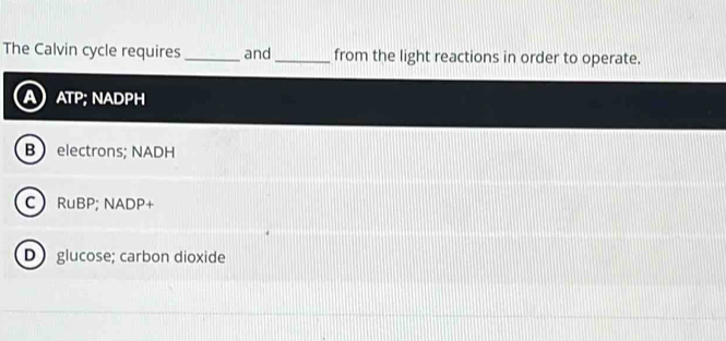 The Calvin cycle requires_ and _from the light reactions in order to operate.
ATP; NADPH
B electrons; NADH
C RuBP; NADP+
D glucose; carbon dioxide