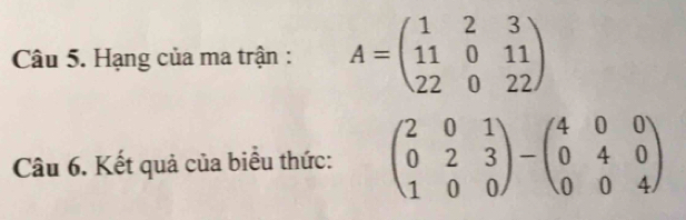 Hạng của ma trận : A=beginpmatrix 1&2&3 11&0&11 22&0&22endpmatrix
Câu 6. Kết quả của biểu thức: beginpmatrix 2&0&1 0&2&3 1&0&0endpmatrix -beginpmatrix 4&0&0 0&4&0 0&0&4endpmatrix