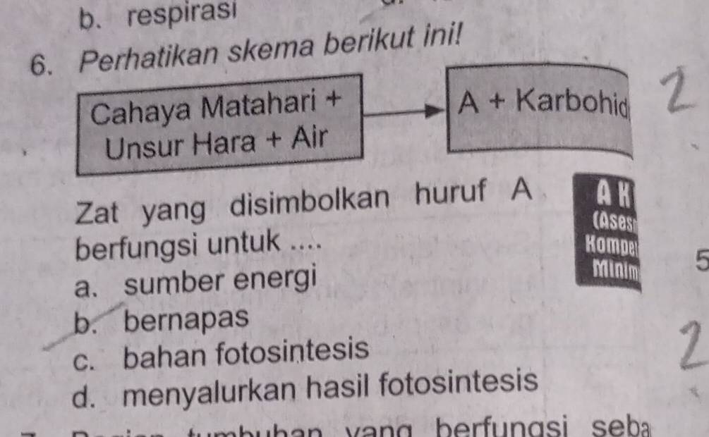 b. respirasi
6. Perhatikan skema berikut ini!
Cahaya Matahari + A+K arbohid
Unsur Hara + Air
Zat yang disimbolkan huruf A AK
(Ases
berfungsi untuk .... Kompe
Mini
a. sumber energi 5
b. bernapas
c. bahan fotosintesis
d. menyalurkan hasil fotosintesis