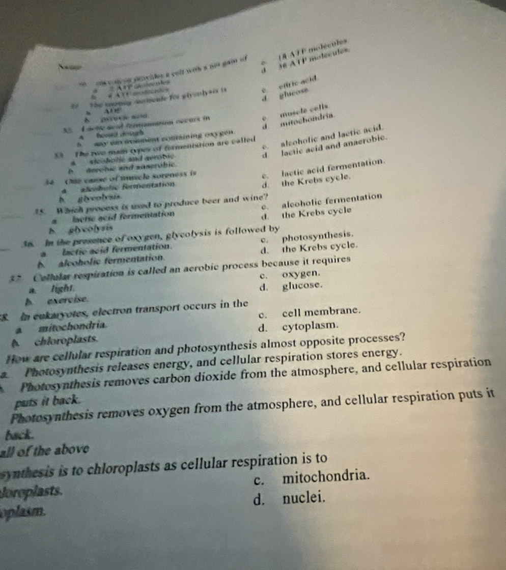 e (À AT F molécules
d. 36 ATP molecules
he c n on pevies i colf with a not gain of 
= P Gaates
2 The moig ammente for plyonlysis is é offric acid

d ghicose
A A M'
A pérevie aoa
_
_3 I acte seal teronasion occurs in e musole colls
d mitochondria.
A hooud ugh
e alsoholic and laetic acid.
h aay ein sonment contaiing oxygen 
_
The two mai types of fermenistion are called
s siceholie and aerobic
d lactic acid and anaerobie.. lactic acid fermentation.
I _ derobic and suserobic.
_
34 Oue cause of muscle soreness is
a aleohplic fermentation
d. the Krebs cycle.
h ghvolvais
_
e. aleoholic fermentation
5. Which process is used to produce beer and wine?
a lactic acid fermentation
d. the Krebs cycle
h glycolysis
_
36. In the presence of oxygen, glycolysis is followed by
a lactic acid fermentation. c. photosynthesis.
b. alcoholic fermentation. d. the Krebs cycle.
** Cellular respiration is called an acrobic process because it requires
a light c. oxygen.
h exercise. d. glucose.
8 In eukaryotes, electron transport occurs in the
a mitochondria. c. cell membrane.
chloroplasts. d. cytoplasm.
How are cellular respiration and photosynthesis almost opposite processes?
a Photosynthesis releases energy, and cellular respiration stores energy.
Photosynthesis removes carbon dioxide from the atmosphere, and cellular respiration
puts it back.
Photosynthesis removes oxygen from the atmosphere, and cellular respiration puts it
back.
all of the above
synthesis is to chloroplasts as cellular respiration is to
Joreplasts. c. mitochondria.
oplasm. d. nuclei.