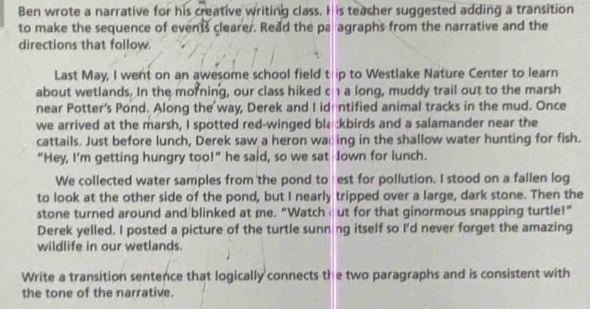 Ben wrote a narrative for his creative writing class. I is teacher suggested adding a transition 
to make the sequence of events clearer. Read the pa agraphs from the narrative and the 
directions that follow. 
Last May, I went on an awesome school field t ip to Westlake Nature Center to learn 
about wetlands. In the morning, our class hiked c a long, muddy trail out to the marsh 
near Potter's Pond. Along the way, Derek and I id ntified animal tracks in the mud. Once 
we arrived at the marsh, I spotted red-winged bla :kbirds and a salamander near the 
cattails. Just before lunch, Derek saw a heron waing in the shallow water hunting for fish. 
“Hey, I'm getting hungry too!" he said, so we sat lown for lunch. 
We collected water samples from the pond to est for pollution. I stood on a fallen log 
to look at the other side of the pond, but I nearly tripped over a large, dark stone. Then the 
stone turned around and blinked at me. "Watch ut for that ginormous snapping turtle!” 
Derek yelled. I posted a picture of the turtle sunn ng itself so I'd never forget the amazing 
wildlife in our wetlands. 
Write a transition sentence that logically connects the two paragraphs and is consistent with 
the tone of the narrative.