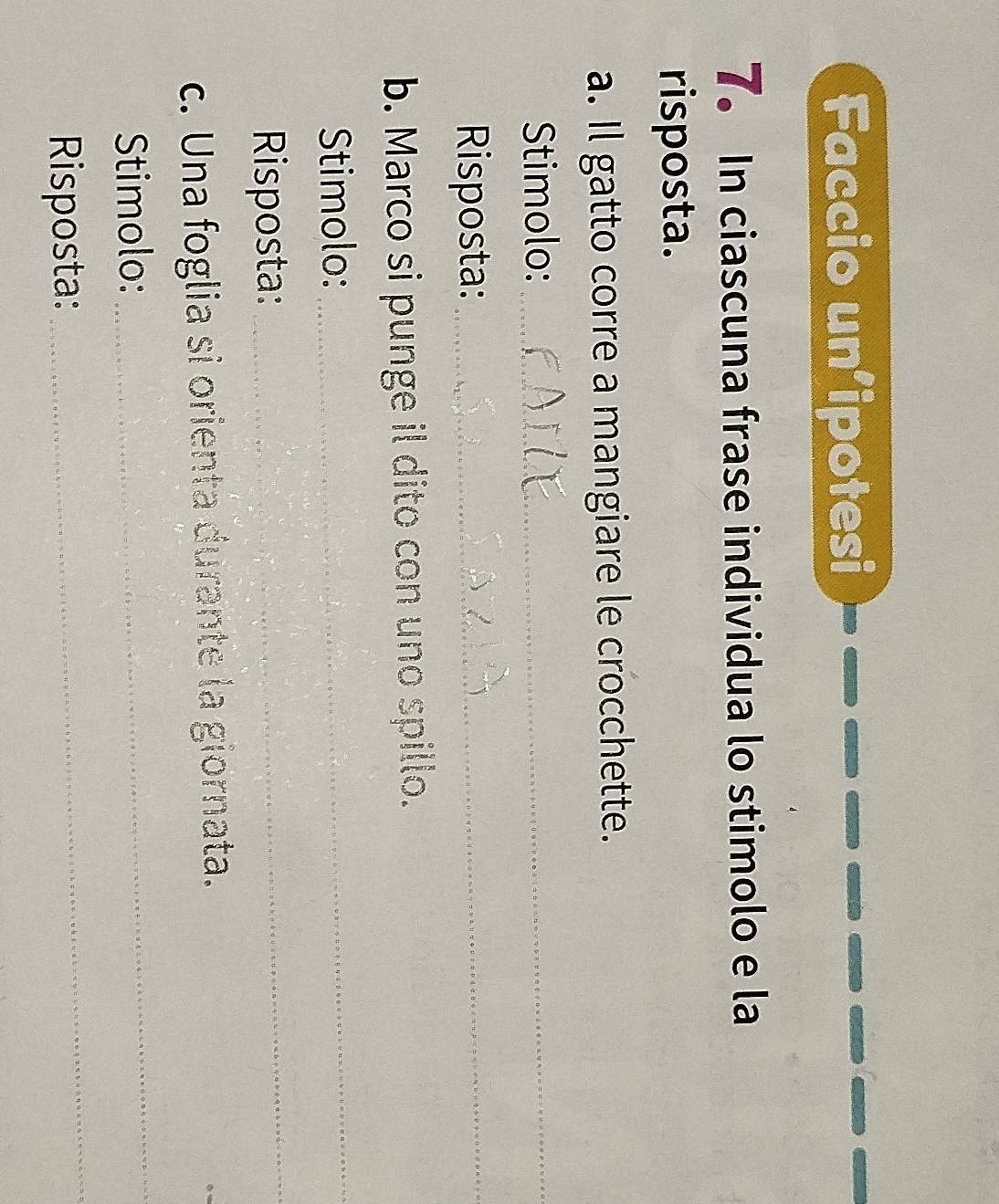 Faccio un’ipotesi 
7. In ciascuna frase individua lo stimolo e la 
risposta. 
a. Il gatto corre a mangiare le crocchette. 
Stimolo:_ 
Risposta:_ 
b. Marco si punge il dito con uno spillo. 
Stimolo: 
_ 
Risposta: 
_ 
c. Una foglia si orienta durante la giornata. 
Stimolo: 
_ 
Risposta: 
_