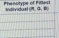 Phenotype of Fittest 
Individual (R,G,B)