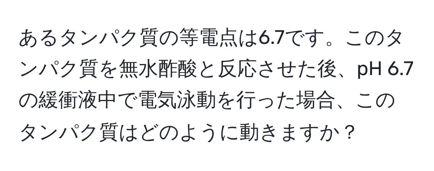 あるタンパク質の等電点は6.7です。このタンパク質を無水酢酸と反応させた後、pH 6.7の緩衝液中で電気泳動を行った場合、このタンパク質はどのように動きますか？