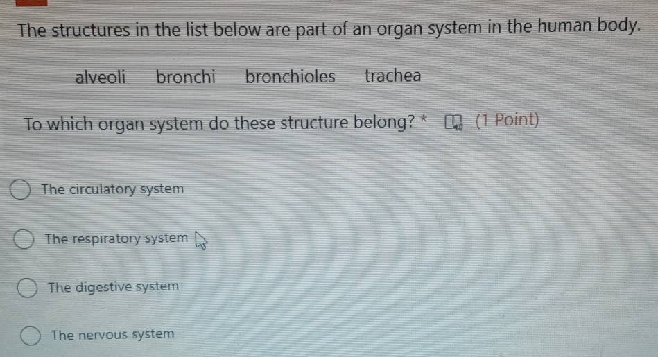 The structures in the list below are part of an organ system in the human body.
alveoli bronchi bronchioles trachea
To which organ system do these structure belong? * (1 Point)
The circulatory system
The respiratory system
The digestive system
The nervous system