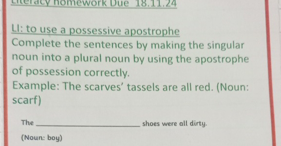 Literacy homework Due 18.11.24 
LI: to use a possessive apostrophe 
Complete the sentences by making the singular 
noun into a plural noun by using the apostrophe 
of possession correctly. 
Example: The scarves’ tassels are all red. (Noun: 
scarf) 
The_ shoes were all dirty. 
(Noun: boy)