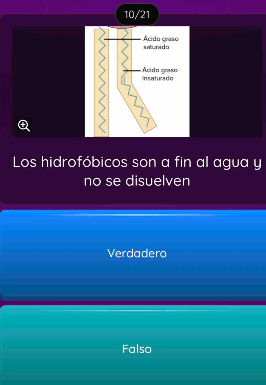 10/21
Ácido graso
saturado
Ácido graso
insaturado
Los hidrofóbicos son a fin al agua y
no se disuelven
Verdadero
Falso