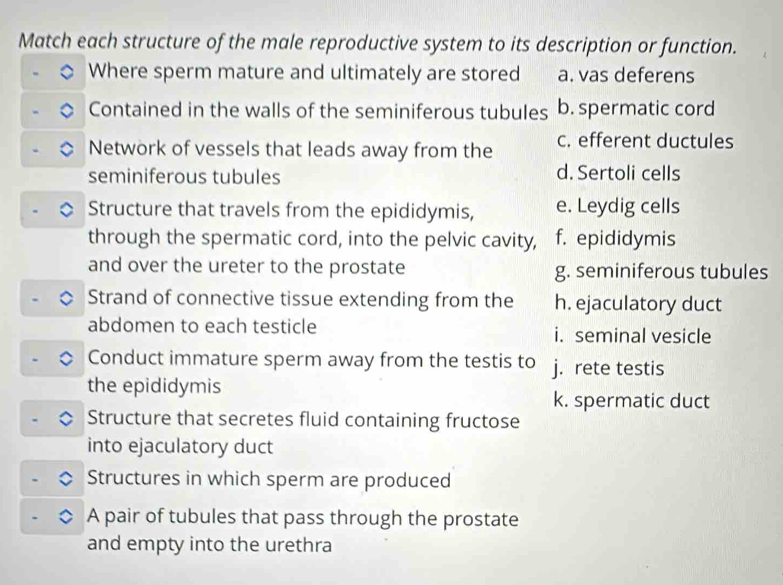 Match each structure of the male reproductive system to its description or function.
Where sperm mature and ultimately are stored a. vas deferens
Contained in the walls of the seminiferous tubules b. spermatic cord
Network of vessels that leads away from the c. efferent ductules
seminiferous tubules d. Sertoli cells
Structure that travels from the epididymis, e. Leydig cells
through the spermatic cord, into the pelvic cavity, f. epididymis
and over the ureter to the prostate g. seminiferous tubules
Strand of connective tissue extending from the h. ejaculatory duct
abdomen to each testicle i. seminal vesicle
Conduct immature sperm away from the testis to j. rete testis
the epididymis k. spermatic duct
Structure that secretes fluid containing fructose
into ejaculatory duct
Structures in which sperm are produced
A pair of tubules that pass through the prostate
and empty into the urethra