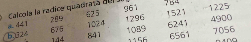Calcola la radice quadrata de l
1521 1225
625 961
784
a. 441 289
b. 324 676 1024 1296
4900
144 841 1089 6241
1156 6561 7056