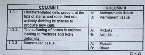 (3* 2)