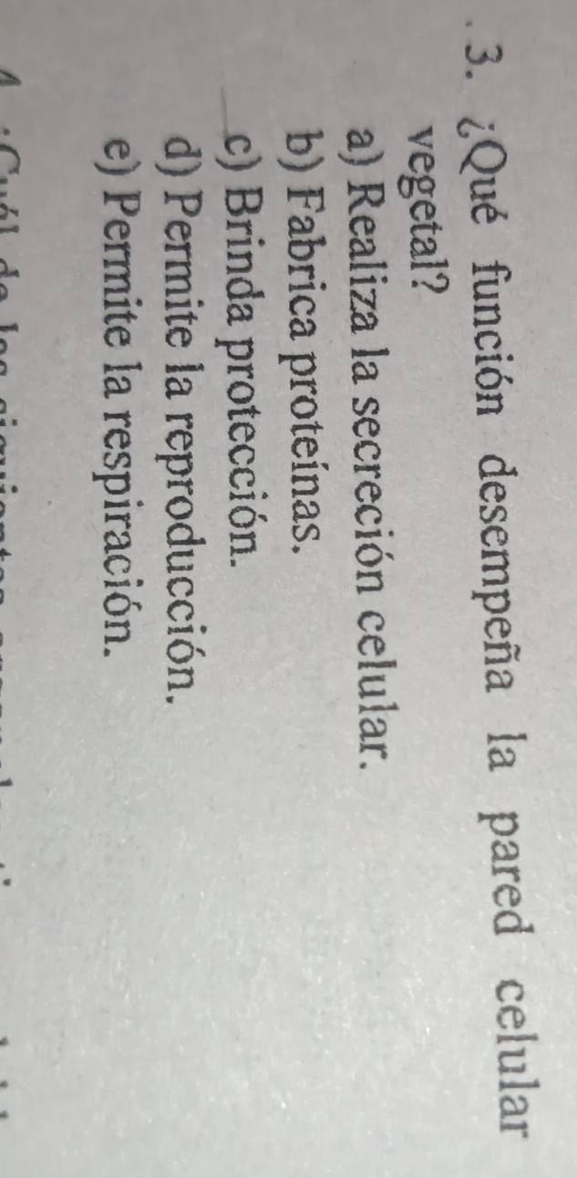 ¿Qué función desempeña la pared celular
vegetal?
a) Realiza la secreción celular.
b) Fabrica proteínas.
c) Brinda protección.
d) Permite la reproducción.
e) Permite la respiración.
