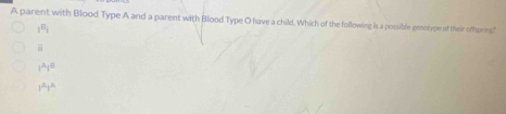 A parent with Blood Type A and a parent with Blood Type O have a child. Which of the following is a possible genotype of their ofprins?
1^n,
overline 1
(^A)^8
1^(wedge)1^(wedge)