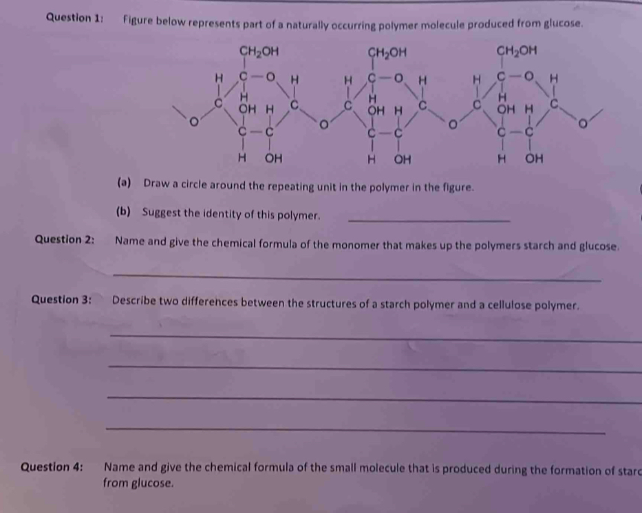 Figure below represents part of a naturally occurring polymer molecule produced from glucose.
(a) Draw a circle around the repeating unit in the polymer in the figure.
(b) Suggest the identity of this polymer._
Question 2: Name and give the chemical formula of the monomer that makes up the polymers starch and glucose.
_
Question 3: Describe two differences between the structures of a starch polymer and a cellulose polymer.
_
_
_
_
Question 4: Name and give the chemical formula of the small molecule that is produced during the formation of stard
from glucose.