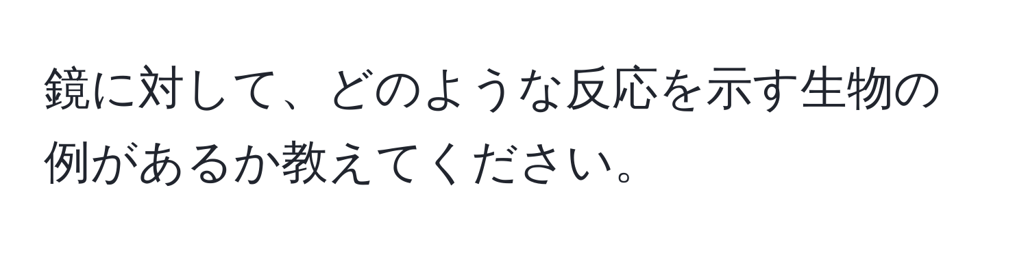 鏡に対して、どのような反応を示す生物の例があるか教えてください。