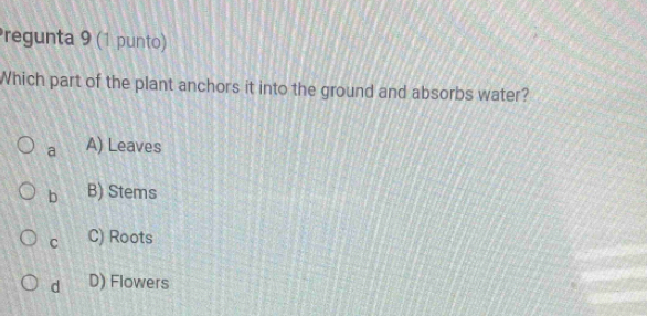 Pregunta 9 (1 punto)
Which part of the plant anchors it into the ground and absorbs water?
a A) Leaves
b B) Stems
C C) Roots
d D) Flowers