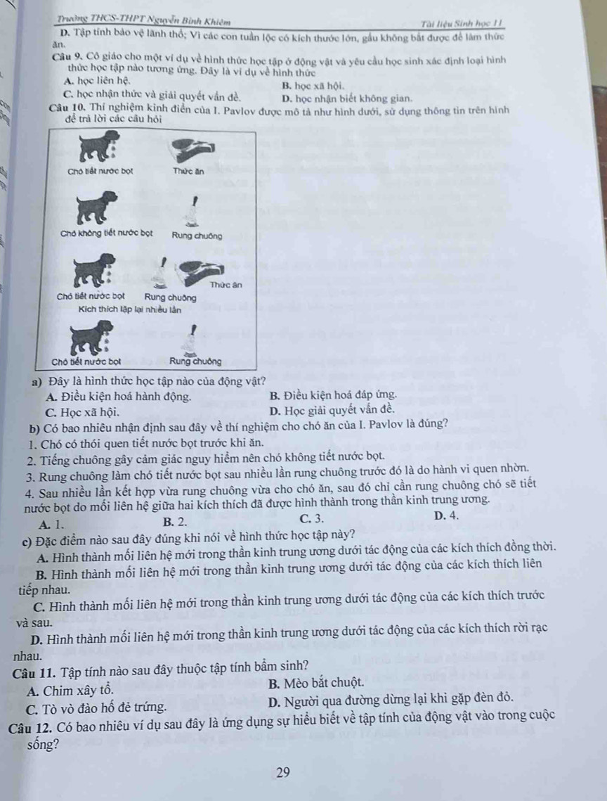 Trường THCS-THPT Nguyễn Bình Khiêm
Tài liệu Sinh học 11
D. Tập tính bảo vệ lãnh thổ; Vì các con tuần lộc có kích thước lớn, gầu không bắt được để làm thức
ăn.
Câu 9. Cô giáo cho một ví dụ về hình thức học tập ở động vật và yêu cầu học sinh xác định loại hình
thức học tập nào tương ứng. Đây là vi dụ về hình thức
A. học liên hệ. B. học xã hội.
C. học nhận thức và giải quyết vấn đề. D. học nhận biết không gian.
Câu 10. Thí nghiệm kinh điển của I. Pavlov được mô tả như hình dưới, sử dụng thông tin trên hình
để trả lời các câu hỏi
a) Đây là hình thức học tập nào của động vật?
A. Điều kiện hoá hành động. B. Điều kiện hoá đáp ứng.
C. Học xã hội. D. Học giải quyết vấn đề.
b) Có bao nhiêu nhận định sau đây về thí nghiệm cho chó ăn của I. Pavlov là đúng?
1. Chó có thói quen tiết nước bọt trước khi ăn.
2. Tiếng chuông gây cảm giác nguy hiểm nên chó không tiết nước bọt.
3. Rung chuông làm chó tiết nước bọt sau nhiều lần rung chuông trước đó là do hành vi quen nhờn.
4. Sau nhiều lần kết hợp vừa rung chuông vừa cho chó ăn, sau đó chỉ cần rung chuông chó sẽ tiết
nước bọt do mối liên hệ giữa hai kích thích đã được hình thành trong thần kinh trung ương.
A. 1. B. 2. C. 3. D. 4.
c) Đặc điểm nào sau đây đúng khi nói về hình thức học tập này?
A. Hình thành mối liên hệ mới trong thần kinh trung ương dưới tác động của các kích thích đồng thời.
B. Hình thành mối liên hệ mới trong thần kinh trung ương dưới tác động của các kích thích liên
tiếp nhau.
C. Hình thành mối liên hệ mới trong thần kinh trung ương dưới tác động của các kích thích trước
và sau.
D. Hình thành mối liên hệ mới trong thần kinh trung ương dưới tác động của các kích thích rời rạc
nhau.
Câu 11. Tập tính nào sau đây thuộc tập tính bầm sinh?
A. Chim xây tổ. B. Mèo bắt chuột.
C. Tò vò đào hố đẻ trứng. D. Người qua đường dừng lại khi gặp đèn đỏ.
Câu 12. Có bao nhiêu ví dụ sau đây là ứng dụng sự hiểu biết về tập tính của động vật vào trong cuộc
sống?
29