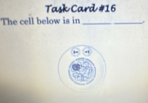 Task Card #16 
The cell below is in_ 
.