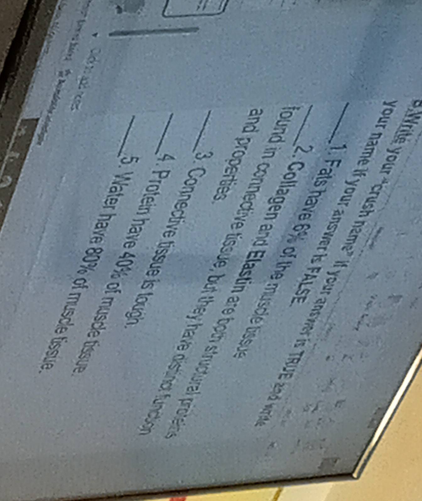 our name if your answer is FALSF 
Write your “crush name” if your answer is TRUE and 
Fats have 6 % of the ucl ti 
Collagen and Elastin are both structural prote 
and properties 
__bund in connective tissue, but they have distin func 
_ . Connective tissue is tough 
Protein have m scle tssu 
Water have 80% of muscle tissue 
hi ha n i d