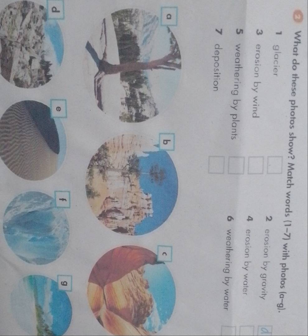 What do these photos show? Match words (1-7) with photos (a-g)
1 glacier 2 erosion by gravity
3 erosion by wind 4 erosion by water
5 weathering by plants 6 weathering by water
7 deposition
a
f
g
d
e