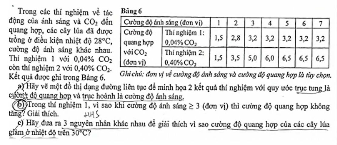 Trong các thí nghiệm về  Bảng 6
động của ánh sáng và CO_2 đ
quang hợp, các cây lúa đã đư
trồng ở điều kiện nhiệt độ 28°C,
cường độ ánh sáng khác nh
Thí nghiệm 1 với 0,04% 
còn thí nghiệm 2 với 0,40% CO_2.
Kết quả được ghi trọng Bảng 6.  Ghi chủ: đơn vị về cường độ ánh sáng và cường độ quang hợp là tùy chọn.
a) Hãy vẽ một đồ thị dạng đường liên tục đề minh họa 2 kết quả thí nghiệm với quy ước trục tung là
cường độ quang hợp và trục hoành là cường độ ánh sáng.
(6) Trong thí nghiệm 1, vì sao khi cường độ ảnh sáng ≥ 3 (đơn vị) thì cường độ quang hợp không
tăng? Giải thích.
c) Hãy đưa ra 3 nguyên nhân khác nhau để giải thích vì sao cường độ quang hợp của các cây lúa
giảm ở nhiệt độ trên 30°C ?