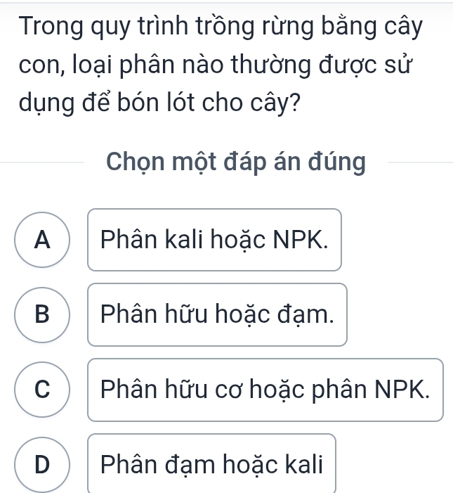 Trong quy trình trồng rừng bằng cây
con, loại phân nào thường được sử
dụng để bón lót cho cây?
Chọn một đáp án đúng
A Phân kali hoặc NPK.
B Phân hữu hoặc đạm.
C Phân hữu cơ hoặc phân NPK.
D Phân đạm hoặc kali