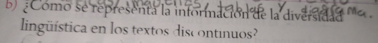 Cómo se representa la información de la diversidad 
lingüística en los textos discontinuos?