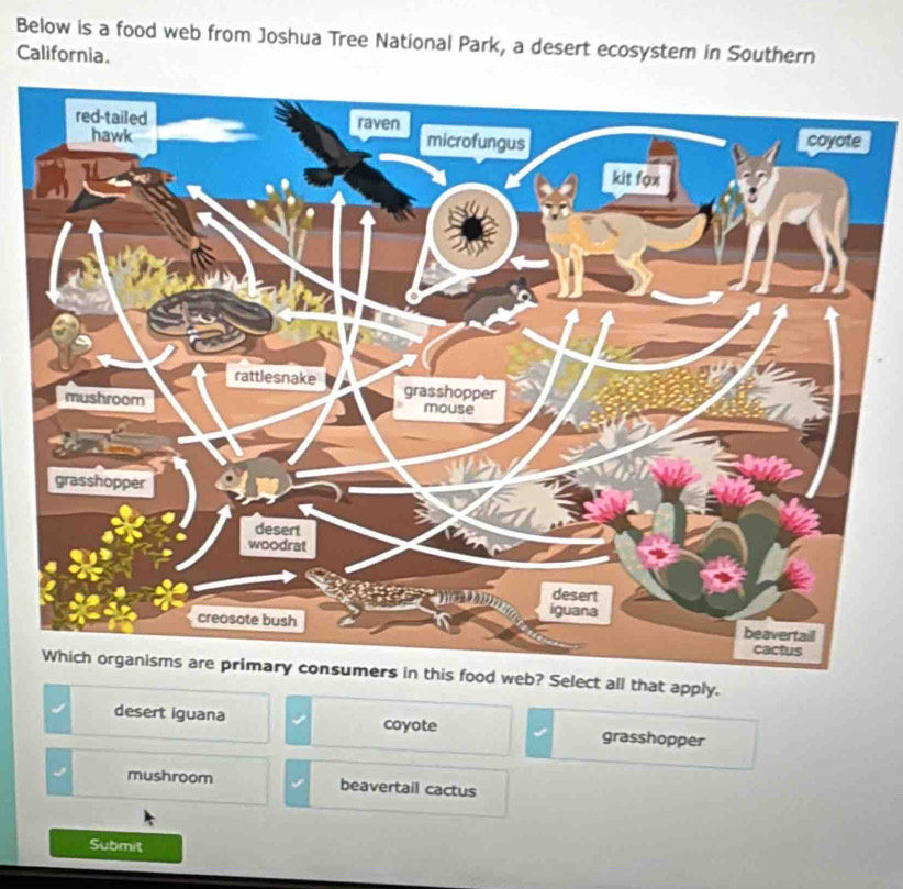 Below is a food web from Joshua Tree National Park, a desert ecosystem in Southern
California.
s food web? Select all that apply.
desert iguana coyote grasshopper
mushroom beavertail cactus
Submit