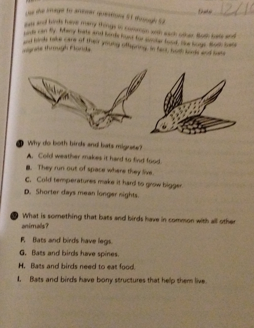 Use the image to answer questions 51 through 52
lists and birds have many things in comman with each other. foth bats and
birds can fly. Many bats and birds hunt for similar food, like bugs. Botk bets
and birds take care of their young offspring. In fast, both birds and lats
migrate through Florida
Why do both birds and bats migrate?
A. Cold weather makes it hard to find food.
B. They run out of space where they live.
c. Cold temperatures make it hard to grow bigger
D. Shorter days mean longer nights.
What is something that bats and birds have in common with all other
animals?
F. Bats and birds have legs.
G. Bats and birds have spines.
H. Bats and birds need to eat food.
I. Bats and birds have bony structures that help them live.