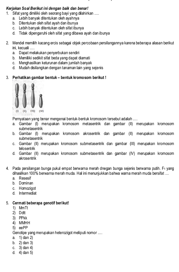 Kerjakan Soal Berikut ini dengan baik dan benar!
1. Sifat yang dimiliki oleh seorang bayi yang dilahirkan ....
a. Lebih banyak ditentukan oleh ayahnya
b. Ditentukan oleh sifat ayah dan ibunya
c. Lebih banyak ditentukan oleh sifat ibunya
d. Tidak dipengaruhi oleh sifat yang dibawa ayah dan ibunya
2. Mendel memilih kacang ercis sebagai objek percobaan persilangannya karena beberapa alasan berikut
ini, kecuali ....
a. Dapat melakukan penyerbukan sendiri
b. Memiliki sedikit sifat beda yang dapat diamati
c. Menghasilkan keturunan dalam jumlah banyak
d. Mudah disilangkan dengan tanaman lain yang sejenis
3. Perhatikan gambar bentuk — bentuk kromosom berikut!
(1) (Ⅱ) (≡) (ⅣV)
Pernyataan yang benar mengenai bentuk-bentuk kromosom tersebut adalah ....
a. Gambar (I) merupakan kromosom metasentrik dan gambar (II) merupakan kromosom
submetasentrik
b. Gambar (I) merupakan kromosom akrosentrik dan gambar (II) merupakan kromosom
submetas entrik
c. Gambar (II) merupakan kromosom submetasentrik dan gambar (III) merupakan kromosom
tello s ent rik
d. Gambar (II) merupakan kromosom submetasentrik dan gambar (IV) merupakan kromosom
akrosentrik
4. Pada persilangan bunga pukul empat berwarna merah dnegan bunga sejenis berwarna putih. F1 yang
dihasilkan 100% berwarna merah muda. Hal ini menunjukkan bahwa warna merah muda bersifat ...
a. Resesif
b. Dominan
c. Homozigot
d. Intermediat
5. Cermati beberapa genotif berikut!
1) MmTt
2) D dtt
3) PPkk
4) MMHH
5) eePP
Genotipe yang merupakan heterozigot meliputi nomor ....
a. 1) dan 2)
b. 2) dan 3)
c. 3) dan 4)
d. 4) dan 5)