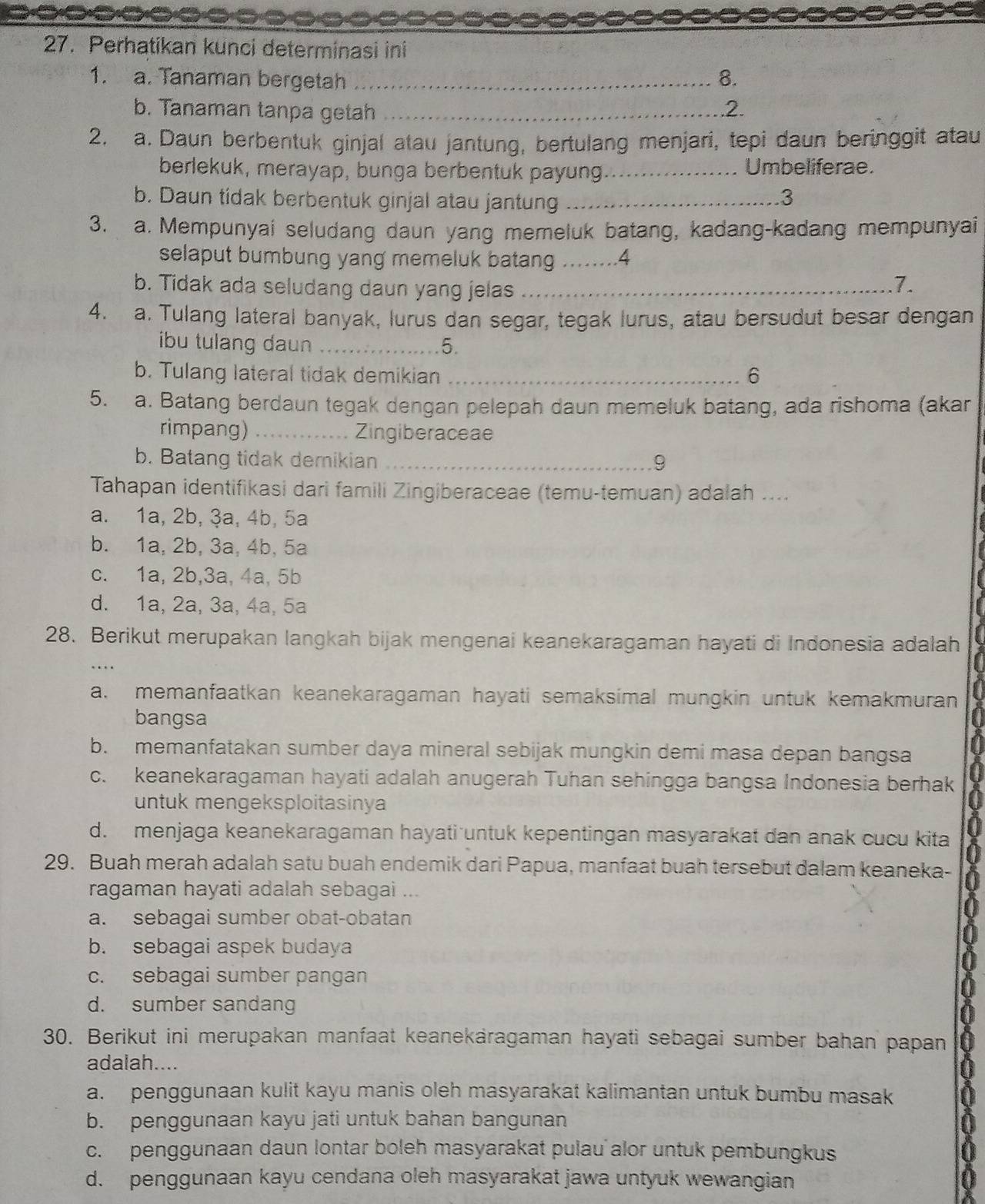 Perhatikan kunci determinasi ini
1. a. Tanaman bergetah _8.
b. Tanaman tanpa getah _.2.
2. a. Daun berbentuk ginjal atau jantung, bertulang menjari, tepi daun beringgit atau
berlekuk, merayap, bunga berbentuk payung _Umbeliferae.
b. Daun tidak berbentuk ginjal atau jantung_
.3
3. a. Mempunyai seludang daun yang memeluk batang, kadang-kadang mempunyai
selaput bumbung yang memeluk batang _.4
b. Tidak ada seludang daun yang jelas_
7.
4. a. Tulang lateral banyak, lurus dan segar, tegak lurus, atau bersudut besar dengan
ibu tulang daun _5.
b. Tulang lateral tidak demikian _6
5. a. Batang berdaun tegak dengan pelepah daun memeluk batang, ada rishoma (akar
rimpang) _Zingiberaceae
b. Batang tidak demikian _9
Tahapan identifikasi dari famili Zingiberaceae (temu-temuan) adalah ....
a. 1a, 2b, 3a, 4b, 5a
b. 1a, 2b, 3a, 4b, 5a
c. 1a, 2b,3a, 4a, 5b
d. 1a, 2a, 3a, 4a, 5a
28. Berikut merupakan langkah bijak mengenai keanekaragaman hayati di Indonesia adalah
a. memanfaatkan keanekaragaman hayati semaksimal mungkin untuk kemakmuran
bangsa
b. memanfatakan sumber daya mineral sebijak mungkin demi masa depan bangsa
c. keanekaragaman hayati adalah anugerah Tuhan sehingga bangsa Indonesia berhak
untuk mengeksploitasinya
d. menjaga keanekaragaman hayati untuk kepentingan masyarakat dan anak cucu kita
29. Buah merah adalah satu buah endemik dari Papua, manfaat buah tersebut dalam keaneka-
ragaman hayati adalah sebagai ...
a. sebagai sumber obat-obatan
b. sebagai aspek budaya
c. sebagai sumber pangan
d. sumber sandang
30. Berikut ini merupakan manfaat keanekäragaman hayati sebagai sumber bahan papan
adalah....
a. penggunaan kulit kayu manis oleh masyarakat kalimantan untuk bumbu masak
b. penggunaan kayu jati untuk bahan bangunan
c. penggunaan daun lontar boleh masyarakat pulau alor untuk pembungkus
d. penggunaan kayu cendana oleh masyarakat jawa untyuk wewangian