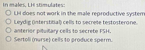 In males, LH stimulates:
LH does not work in the male reproductive system
Leydig (interstitial) cells to secrete testosterone.
anterior pituitary cells to secrete FSH.
Sertoli (nurse) cells to produce sperm.