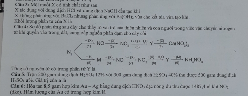 Một muối X có tính chất như sau 
X tác dụng với dung địch HCl và dung địch NaOH đều tạo khí 
X không phản ứng với BaCl₂ nhưng phản ứng với Ba(OH) 2 vừa cho kết tủa vừa tạo khí. 
Khổi lượng phân tử của X là 
Câu 4: Sơ đồ phản ứng sau đây cho thấy rõ vai trò của thiên nhiên và con người trong việc vận chuyển nitrogen 
từ khí quyền vào trong đất, cung cấp nguồn phân đạm cho cây cối:
 (+(x))/(1) NO (+(x))/(2) NO_2frac +(x)+H_2O(3) Y  (+(Z))/[4] Ca(NO_3)_2
N_2
frac +H_2(5)M (+(x))/(6) NO (+(x))/(7) NO_2frac +(x)+H_2O(8) ν  (+(M))/(9) NH_4NO_3
Tổng số nguyên tử có trong phân từ Y là 
Câu 5: Trộn 200 gam dung địch H_2SO_4 12% với 300 gam dung dịch H_2SO 4 40% thu được 500 gam dung dịch 
H:SO₄ a%. Giá trị của a là 
Câu 6: Hòa tan 8, 5 gam hợp kim Au-Ag g bằng dung dịch HNO3 đặc nóng dư thu được 1487, 4ml khí NO_2
(đkc). Hàm lượng của Au có trong hợp kim là