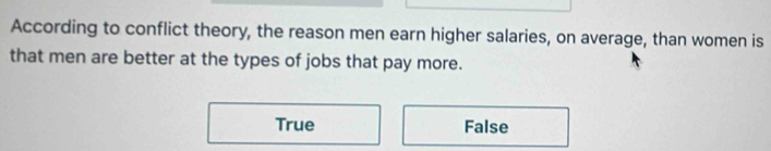 According to conflict theory, the reason men earn higher salaries, on average, than women is
that men are better at the types of jobs that pay more.
True False