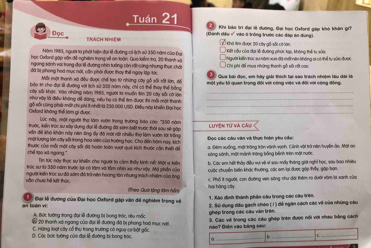 Tuần 21
2  Khi bảo trì đại lễ đường, Đại học Oxford gặp khó khăn gì?
Đọc (Đánh dấu √ vào ô trống trước các đáp án đúng).
TRÁCH NHIỆM Khó tìm được 20 cây gỗ sối cỡ lớn.
Năm 1985, người ta phát hiện đại lễ đường có lịch sử 350 năm của Đại Kết cấu của đại lễ đường phức tạp, không thể tu sửa.
học Oxford gặp vấn đề nghiêm trọng về an toàn. Qua kiểm tra, 20 thanh xà Người kiến trúc sư năm xưa đã mất nên không ai có thể tu sửa được.
ngang sánh vai trong đại lễ đường nhìn tưởng còn rất cứng nhưng thực chất Chi phí để mua những thanh gỗ sối rất cao.
đã bị phong hoá mục nát, cần phải được thay thế ngay lập tức.
Ở Qua bài đọc, em hãy giải thích tại sao trách nhiệm lâu dài là
Mỗi một thanh xà đều được chế tạo từ những cây gỗ sồi rất lớn, để một yếu tố quan trọng đối với công việc và đối với cộng đồng.
bảo trì cho đại lễ đường với lịch sử 350 năm này, chỉ có thể thay thế bằng
cây sồi khác. Vào những năm 1985, người ta muốn tìm 20 cây sồi cỡ lớn_
như vậy là điều không dễ dàng, nếu họ có thể tìm được thì mỗi một thanh_
_
gỗ sồi cũng phải mất chi phí ít nhất là 250.000 USD. Điều này khiến Đại học_
Oxford không thể làm gì được.
Lúc này, một người thợ làm vườn trong trường báo cáo: "350 năm
trước, kiến trúc sư xây dựng đại lễ đường đã sóm biết trước thời sau sẽ gặp Luyện từ và câu
vấn đề khó khăn này nên ông ấy đã mời rất nhiều thợ làm vườn tới trồng
một lượng lớn cây sổi trong hoa viên của trường học. Cho đến hôm nay, kích  Đọc các câu văn và thực hiện yêu cầu:
thước của mỗi một cây sồi đã hoàn toàn vượt quá kích thước cần thiết để a. Đêm xuống, mặt trăng tròn vành vạnh. Cảnh vật trở nên huyền ảo. Mặt ao
chế tạo xà ngang.”.
sóng sánh, một mảnh trăng bổng bềnh trên mặt nước.
Tin tức này thực sự khiến cho người ta cảm thấy kính nể! Một vị kiến b. Các em hết thảy đều vui vẻ vì sau mấy tháng giời nghỉ học, sau bao nhiêu
trúc sư từ 350 năm trước lại có tâm và tầm nhìn xa như vậy. Mộ phần của cuộc chuyển biến khác thường, các em lại được gặp thầy, gặp bạn.
người kiến trúc sư đó sóm đã trở nên hoang tàn nhưng trách nhiệm của ông
vẫn chưa hề kết thúc. c. Phố ít người, con đường ven sông như dài thêm ra dưới vòm lá xanh của
(Theo Quả tặng tâm hồn) hai hàng cây.
1 Đại lễ đường của Đại học Oxford gặp vấn đề nghiêm trọng về 1. Xác định thành phần câu trong các câu trên.
an toàn vì:
2. Sử dụng dấu gạch chéo ( / ) để ngăn cách các vế của những câu
A. Bức tường trong đại lễ đường bị bong tróc, rêu mốc. ghép trong các câu văn trên.
B 20 thanh xà ngang của đại lễ đường đã bị phong hoá mục nát. 3. Các vế trong các câu ghép trên được nối với nhau bằng cách
C. Hàng loạt cây cổ thụ trong trường có nguy cơ bật gốc. nào? Điền vào bảng sau:
D. Các bức tường của đại lễ đường bị bong tróc. _b._ C._
a.