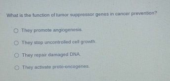 What is the function of tumor suppressor genes in cancer prevention?
They promote angiogenesis.
They stop uncontrolled cell growth.
They repair damaged DNA.
They activate proto-oncogenes.