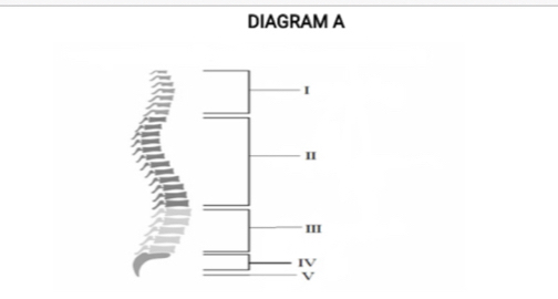 DIAGRAM A