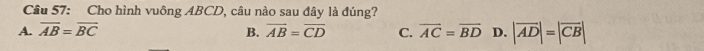 Cho hình vuông ABCD, câu nào sau đây là đúng?
A. overline AB=overline BC overline AB=overline CD C. overline AC=overline BD D. |vector AD|=|vector CB|
B.