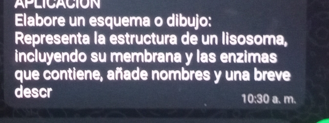 APLICACION 
Elabore un esquema o dibujo: 
Representa la estructura de un lisosoma, 
incluyendo su membrana y las enzimas 
que contiene, añade nombres y una breve 
descr
10:30 a. m.