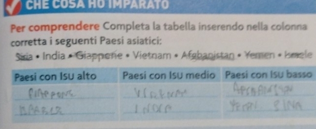 CHE COSA HO IMPARATO 
Per comprendere Completa la tabella inserendo nella colonna 
corretta i seguenti Paesi asiatici: 
* Siria • India • Giappene • Vietnam • Afgbanistan • Yemen • Ismele