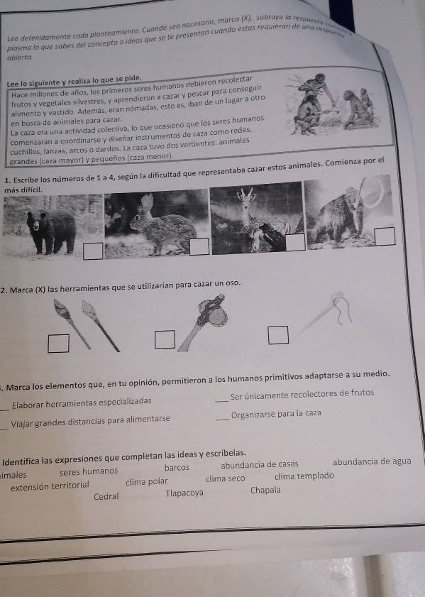 Lee detenidamente cado planteamiento. Cuando sea necesario, marca (X), subraya la respueste ro n 
plasma lo que sabes del concepto o ideas que se te presentan cuando estas requieran de una re 
abierta.
Lee lo siguiente y realiza lo que se pide.
Hace millones de años, los prímeros seres humanos debieron recolectar
frutos y vegetales silvestres, y aprendieron a cazar y pescar para conseguir
alimento y vestido. Además, eran nómadas, esto es, iban de un lugar a otro
en busca de animales para cazar.
La caza era una actividad colectiva, lo que ocasionó que los seres humanos
comenzaran a coordinarse y diseñar instrumentos de caza como redes,
cuchillos, lanzas, arcos o dardos. La caza tuvo dos vertientes: animales
grandes (caza mayor) y pequeños (caza menor).
1. Escribe los números de 1 a 4, según la dificultad que representaba cazar estos animales. Comienza por el
más difícil.
2. Marca (X) las herramientas que se utilizarían para cazar un oso.
. Marca los elementos que, en tu opinión, permitieron a los humanos primitivos adaptarse a su medio.
_
Elaborar herramientas especializadas _Ser únicamente recolectores de frutos
_Víajar grandes distancias para alimentarse _Organizarse para la caza
Identifica las expresiones que completan las ideas y escríbelas.
imales seres humanos barcos abundancia de casas abundancia de agua
extensión territorial clima polar clima seco clima templado
Cedral Tlapacoya Chapala